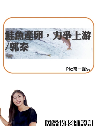 鮭魚產卵力爭上游