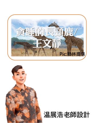 貪睡的長頸鹿