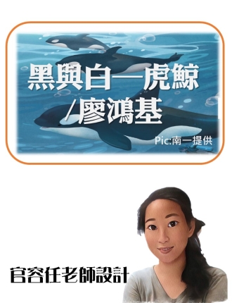 黑與白—虎鯨