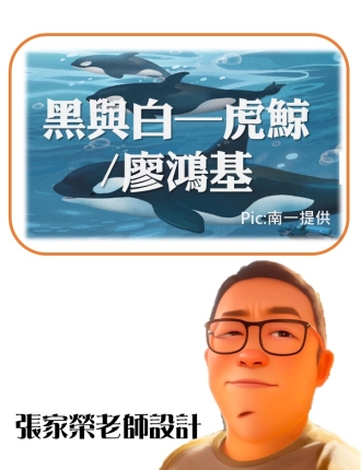 黑與白—虎鯨