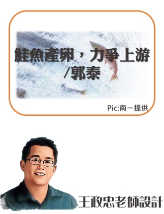 鮭魚產卵力爭上游