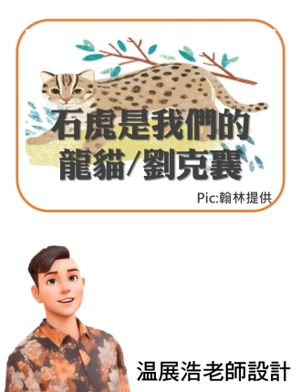 石虎是我們的龍貓