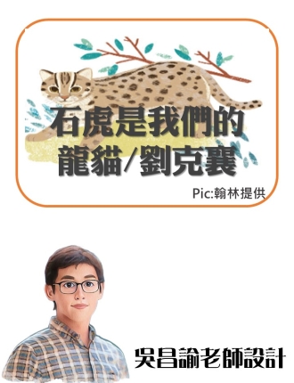 石虎是我們的龍貓