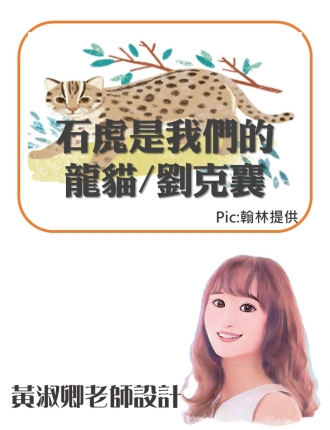 石虎是我們的龍貓