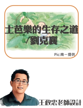 土芭樂的生存之道