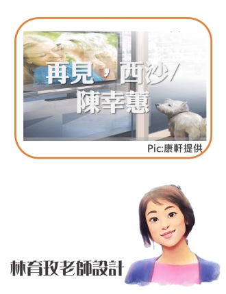 投影片8